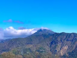 montescuderi (1)
